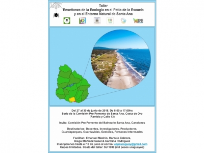 Taller de 